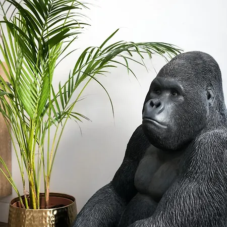 Appartement Vatican Imperial 2840sq Ft